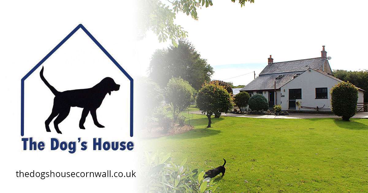 Raw Dog Food in Cornwall The Dog's House Cornwall