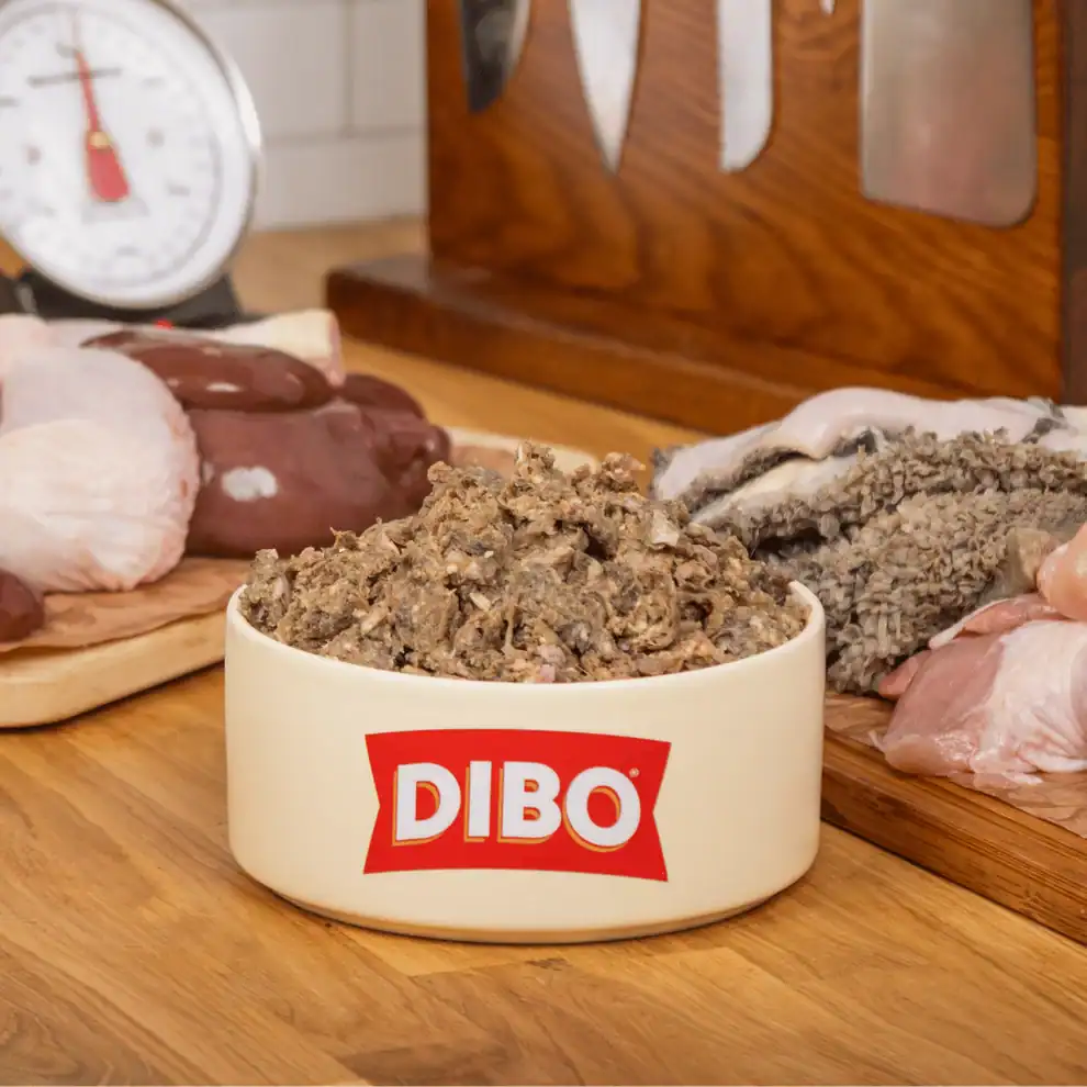 Dibo Meat Only Mix Chicken & Tripe 454g