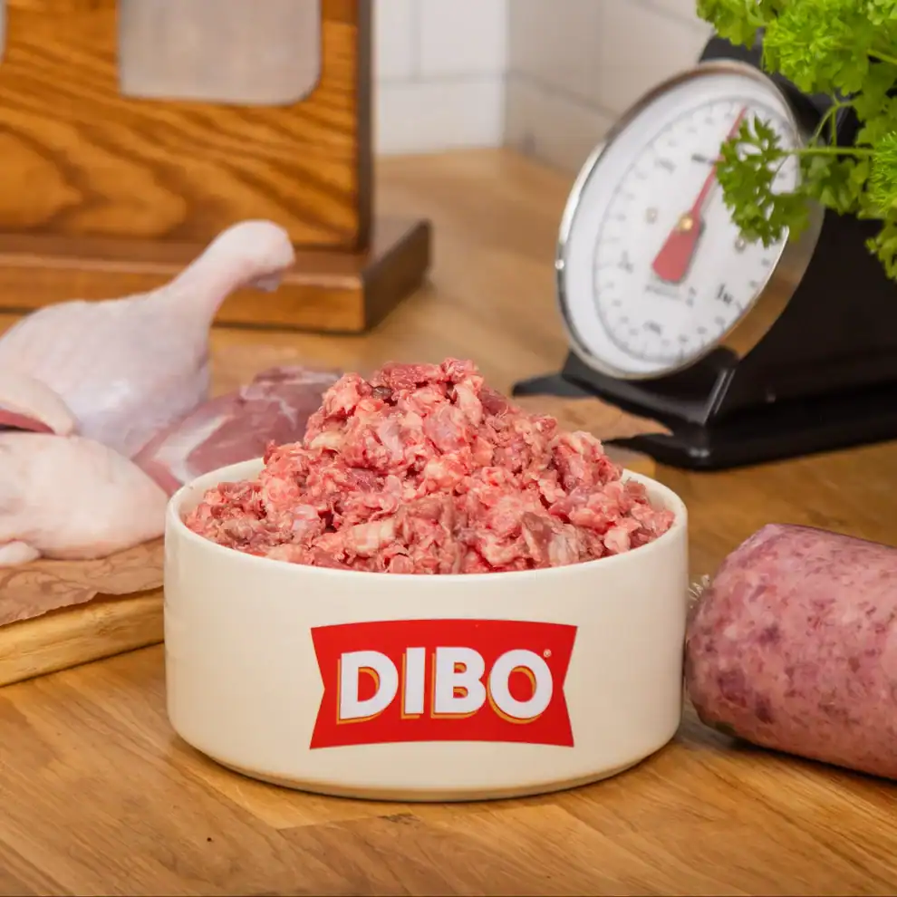 Dibo Single Protein Duck 454g